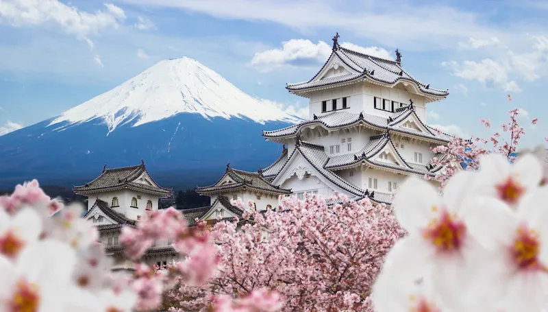 Lâu đài Himeji trắng muột là một trong ba tòa thành quốc bảo nổi tiếng của Nhật Bản.